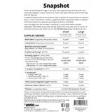 Snapshot Pattern