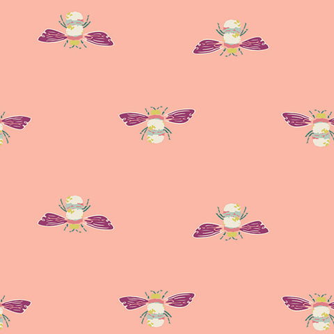 Greenhouse Dawn Collection