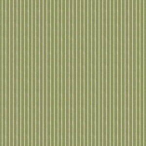 Creating Memories Winter, Stripe Green {Woven}