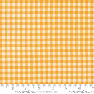 Lucky, Gingham, Sun