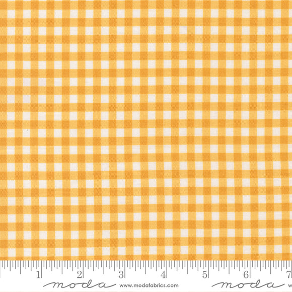 Lucky, Gingham, Sun