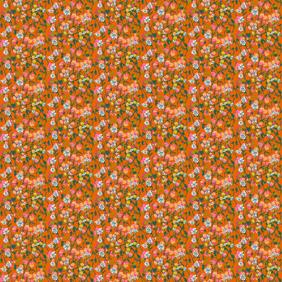 Jumpstart, Silene, Tangerine