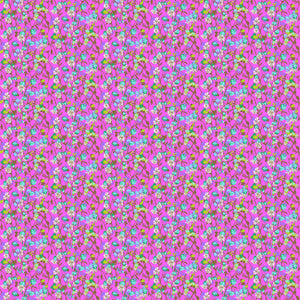 Jumpstart, Silene, Fuchsia