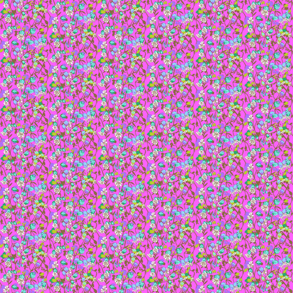Jumpstart, Silene, Fuchsia