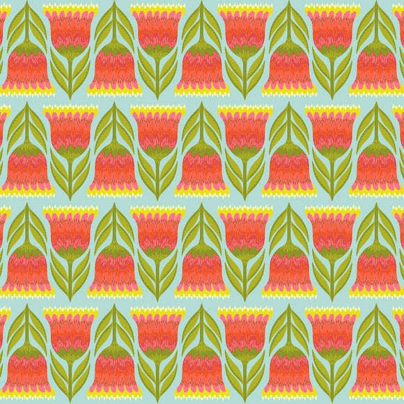 Jumpstart, Celosia, LIme