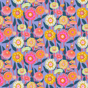 Jumpstart, Zinnia Show, Glow