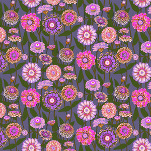 Jumpstart, Zinnia Show, Mauve