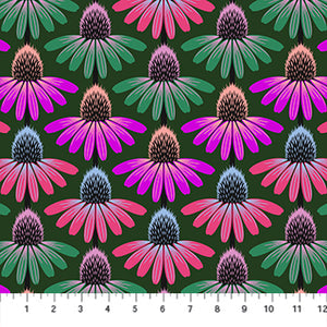 Perennial Borders, Echinacea Rhythm, Forest