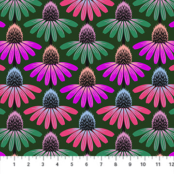 Perennial Borders, Echinacea Rhythm, Forest