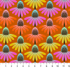 Perennial Borders, Echinacea Rhythm, Fire