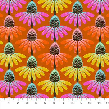 Perennial Borders, Echinacea Rhythm, Fire
