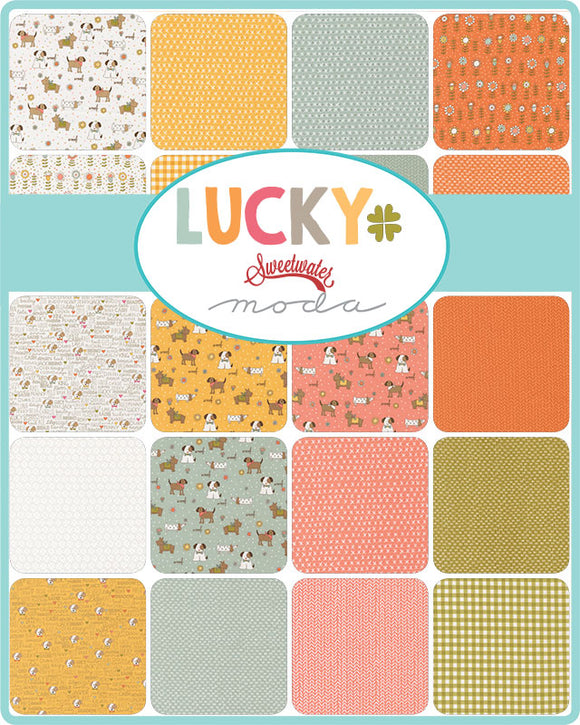 Coming Soon! Lucky