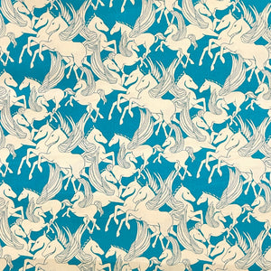 Shooting Star, Turquoise