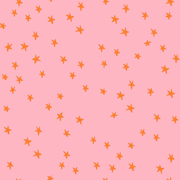 Starry, *NEW* Rosebud