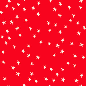 Starry, *NEW* Ladybug