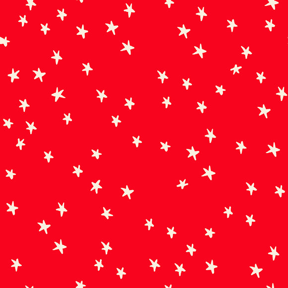 Starry, *NEW* Ladybug
