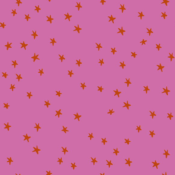 Starry, *NEW* Heliotrope