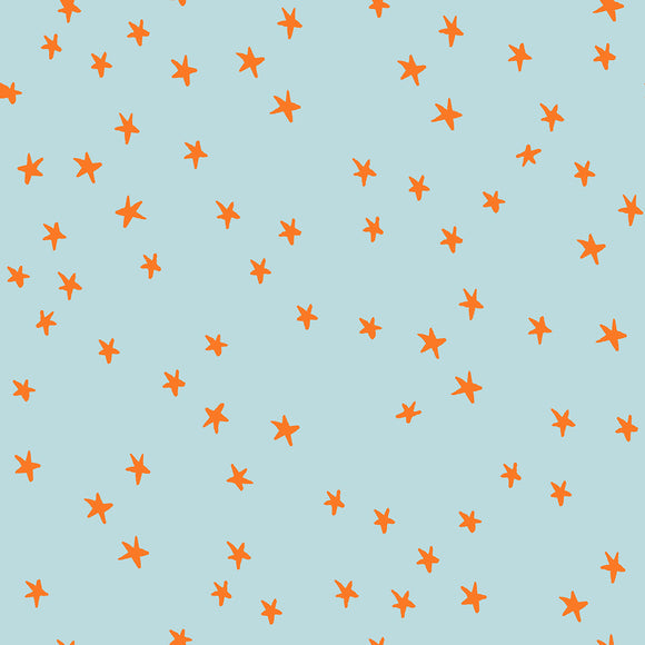 Starry, *NEW* Polar