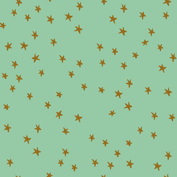 Starry, *NEW* Moss
