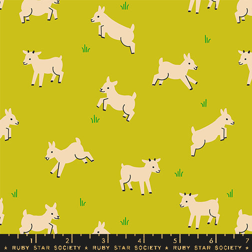 Animal Animal, Baby Goats, Pistachio