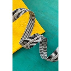 Sassafras Lane #5 Zipper, Black Stripe, Nickel