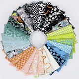 True To Hue Fat Quarter Bundle