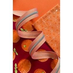 Sassafras Lane #5 Zipper, Orange Stripe, Nickel